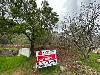 Balıkesir Edremit Karayoluna Cepheli 4 Dönüm Tarla