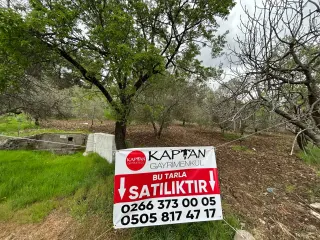 Balıkesir Edremit Karayoluna Cepheli 4 Dönüm Tarla