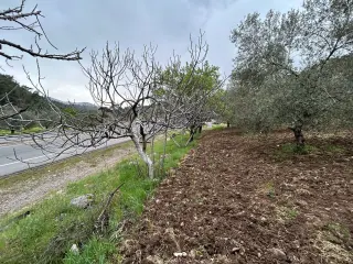 Balıkesir Edremit Karayoluna Cepheli 4 Dönüm Tarla