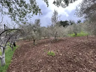 Balıkesir Edremit Karayoluna Cepheli 4 Dönüm Tarla