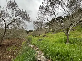 Balıkesir Edremit Karayoluna Cepheli 4 Dönüm Tarla
