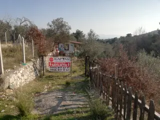 Kızılkeçili 'de Satılık 3 Dönüm Harika Zeytinlik