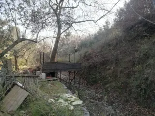 Kızılkeçili 'de Satılık 3 Dönüm Harika Zeytinlik
