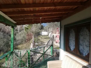 Kızılkeçili 'de Satılık 3 Dönüm Harika Zeytinlik