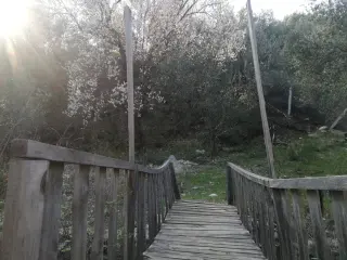 Kızılkeçili 'de Satılık 3 Dönüm Harika Zeytinlik