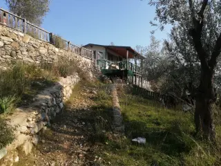 Kızılkeçili 'de Satılık 3 Dönüm Harika Zeytinlik