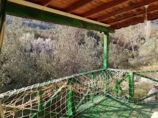 Kızılkeçili 'de Satılık 3 Dönüm Harika Zeytinlik