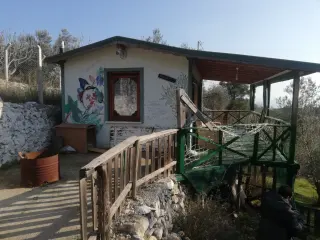 Kızılkeçili 'de Satılık 3 Dönüm Harika Zeytinlik