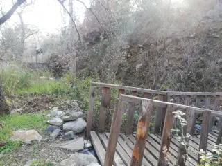 Kızılkeçili 'de Satılık 3 Dönüm Harika Zeytinlik