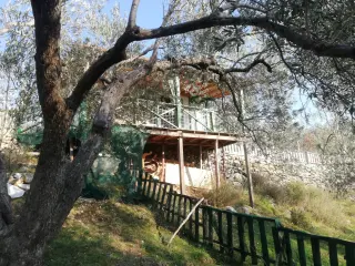 Kızılkeçili 'de Satılık 3 Dönüm Harika Zeytinlik