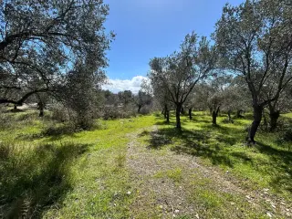 Doğa ile iç içe, yatırım değeri yüksek SATILIK ARSA