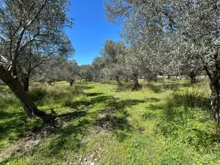 Doğa ile iç içe, yatırım değeri yüksek SATILIK ARSA