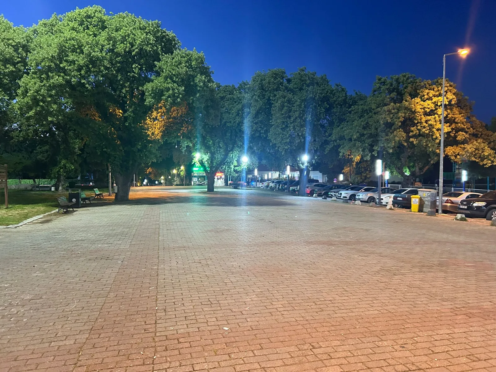 Burhaniye Ören Mahallesi’nde Doğa ve Deniz Manzaralı Satılık Villa Tipi Daire (EİDS NO : 1001423 )