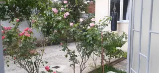 EDREMİT TUZCUMURAT’TA SATILIK MÜSTAKİL 2 KATLI EV – KÖŞE PARSEL, TERASLI, OTOPARKLI! ( EİDS NO : 1001423 )
