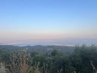 BALIKESİR EDREMİT ARITAŞI MAHALLESİ'NDE SATILIK 3.727 m² ZEYTİNLİK