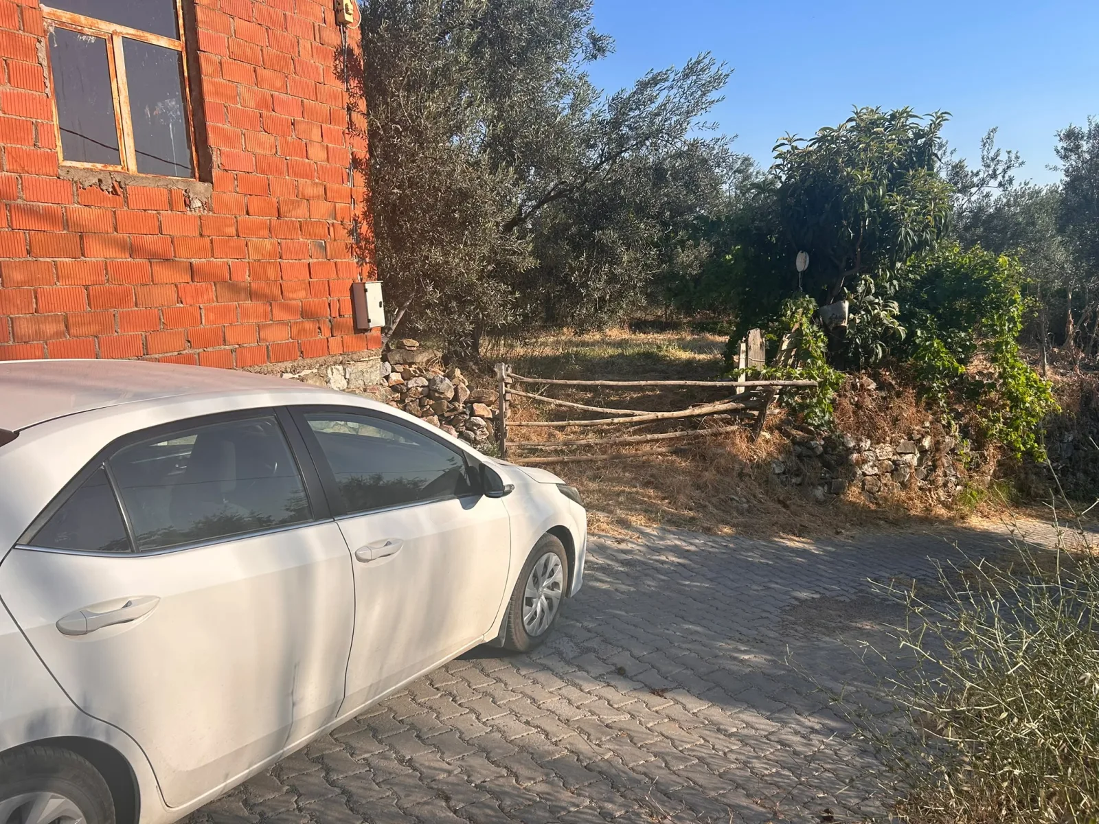 BALIKESİR EDREMİT ARITAŞI MAHALLESİ'NDE SATILIK 3.727 m² ZEYTİNLİK