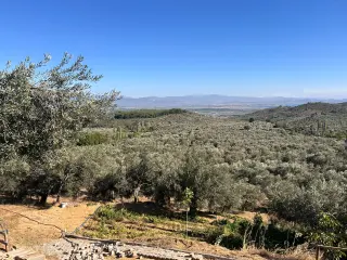 BALIKESİR EDREMİT PINARBAŞI MAHALLESİ'NDE 4,3 DÖNÜM SATILIK ZEYTİNLİK