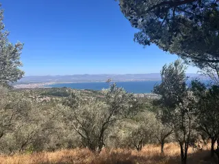 BALIKESİR EDREMİT TAHTAKUŞLAR'DA DENİZ MANZARALI SATILIK ZEYTİNLİK