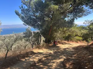 BALIKESİR EDREMİT TAHTAKUŞLAR'DA DENİZ MANZARALI SATILIK ZEYTİNLİK