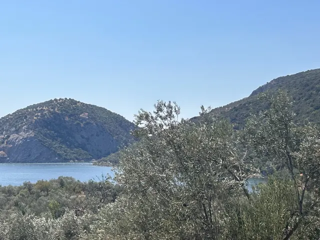 HAVRAN SARNIÇ’TA FULL GÖL MANZARALI SATILIK 3183 M2 ZEYTİNLİK