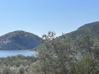 HAVRAN SARNIÇ’TA FULL GÖL MANZARALI SATILIK 3183 M2 ZEYTİNLİK