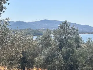 HAVRAN SARNIÇ’TA FULL GÖL MANZARALI SATILIK 3183 M2 ZEYTİNLİK