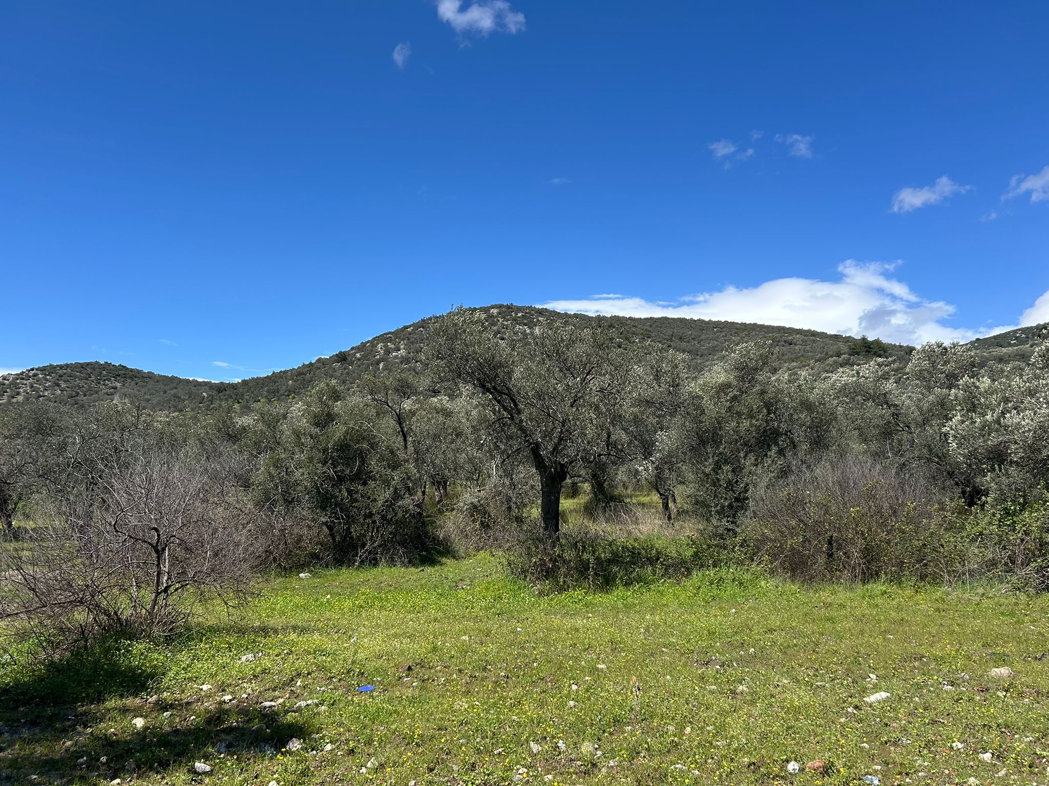 Doğa ile iç içe, yatırım değeri yüksek SATILIK ARSA
