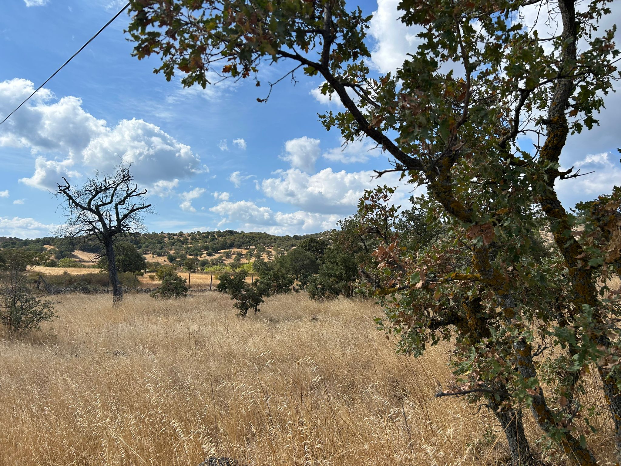 Edremit Balıkesir Ana Asfalt Yola 150 M Cephe Satılık 5 Dönüm Tarla