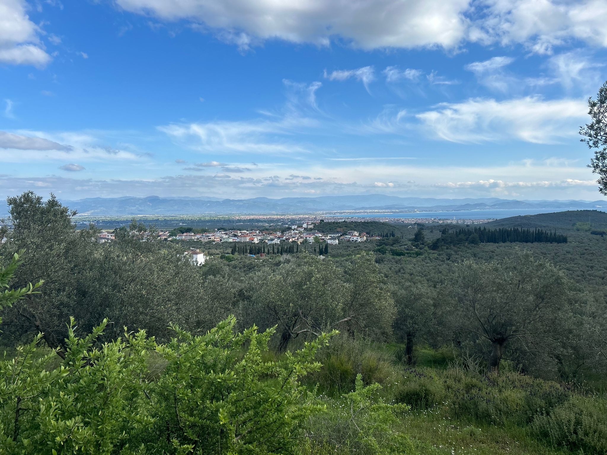 BALIKESİR EDREMİT KIZILKEÇİLİ’DE SATILIK ZEYTİNLİK – DENİZ MANZARALI