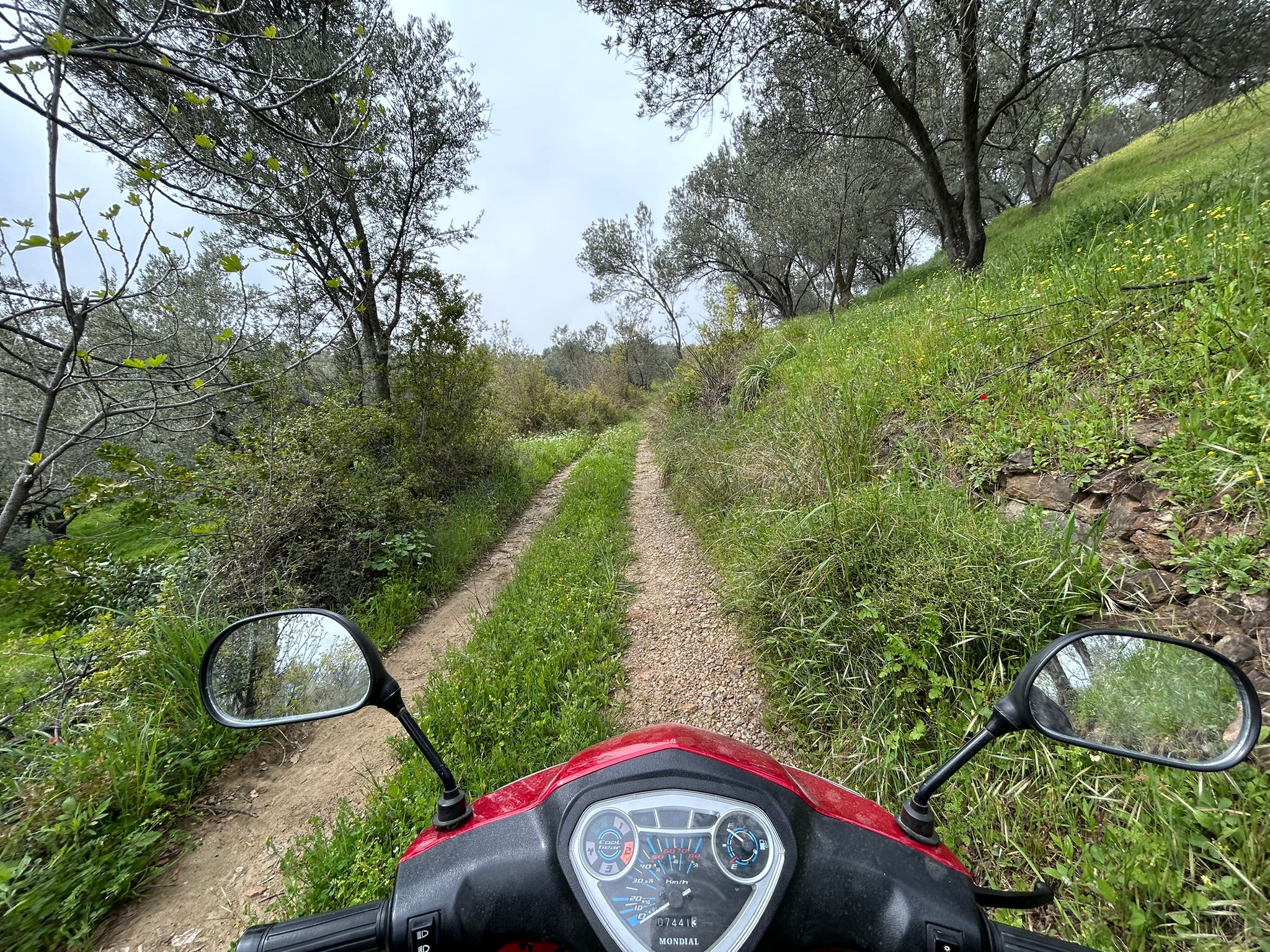 BALIKESİR EDREMİTİN EN GÖZDE KÖYÜNDE SATILIK 2 DÖNÜM ZEYTİNLİK