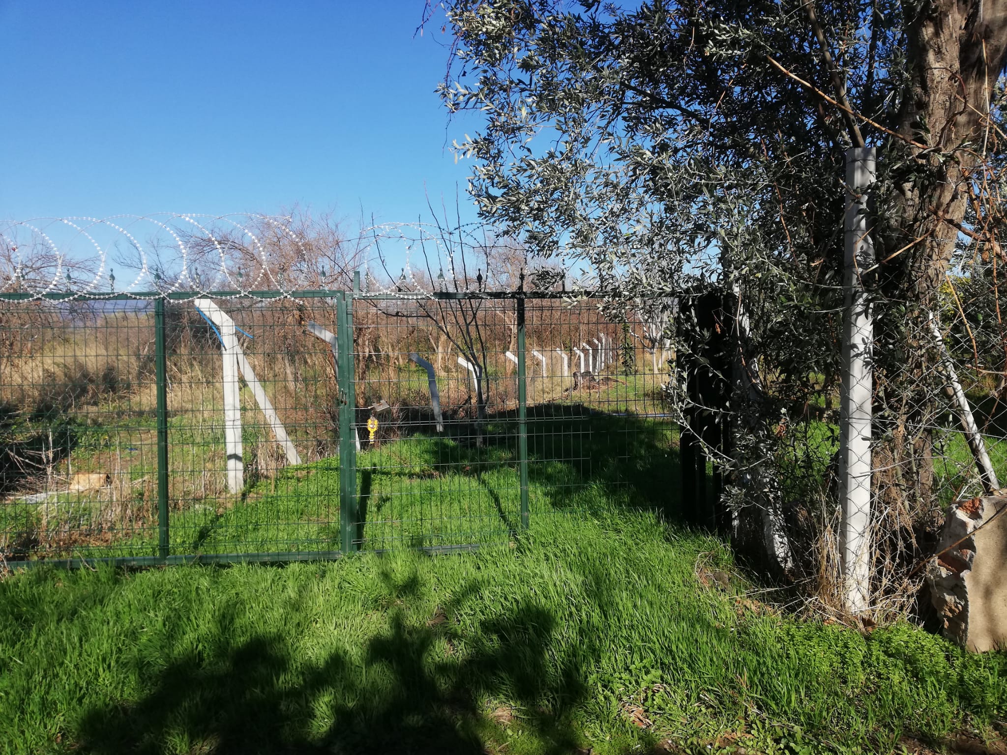 Tekke 'de 2 Dönümlük Hobi Bahçesi