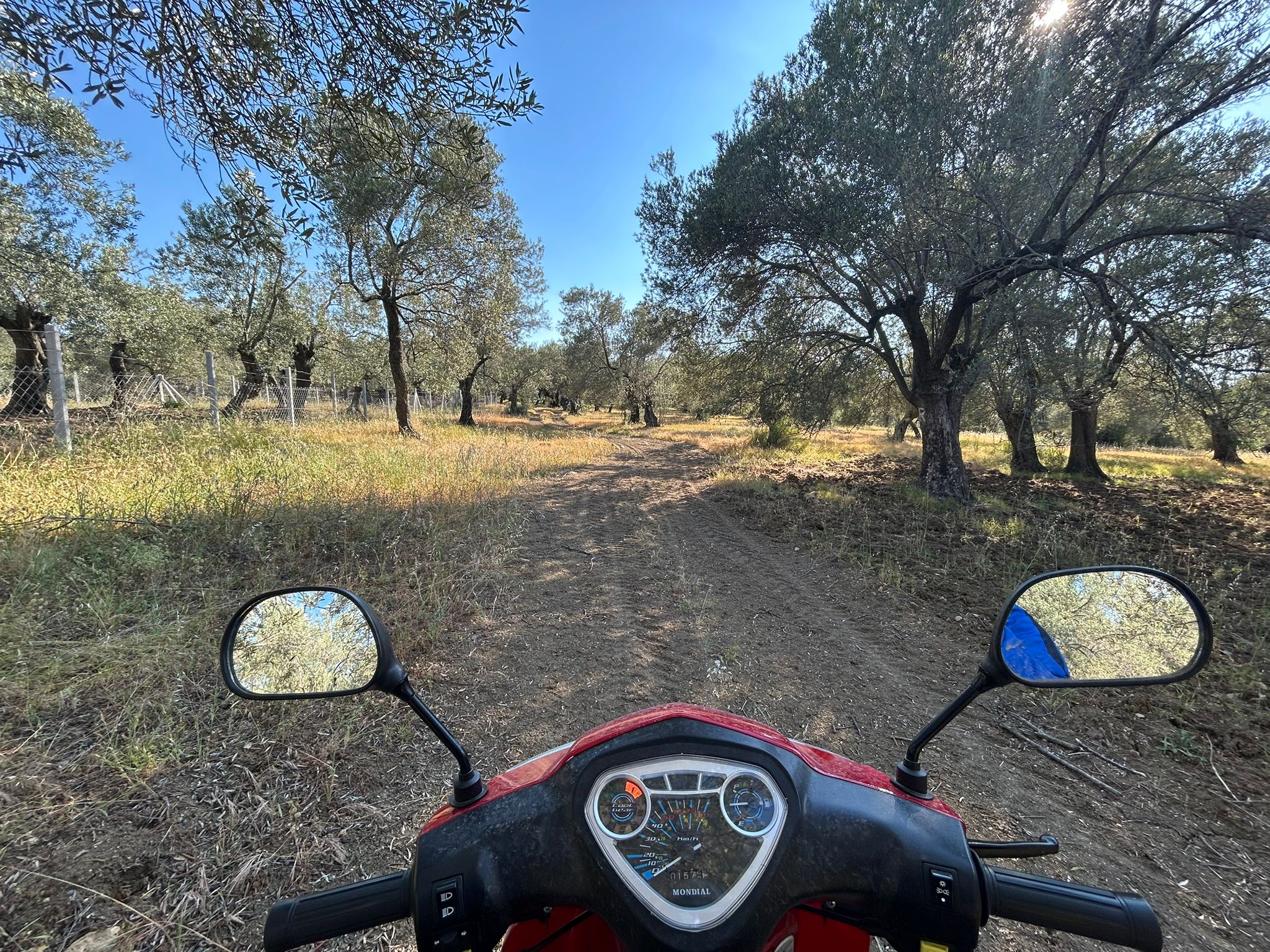 Köylüce 'de Satılık 12.728 M2 Zeytinlik