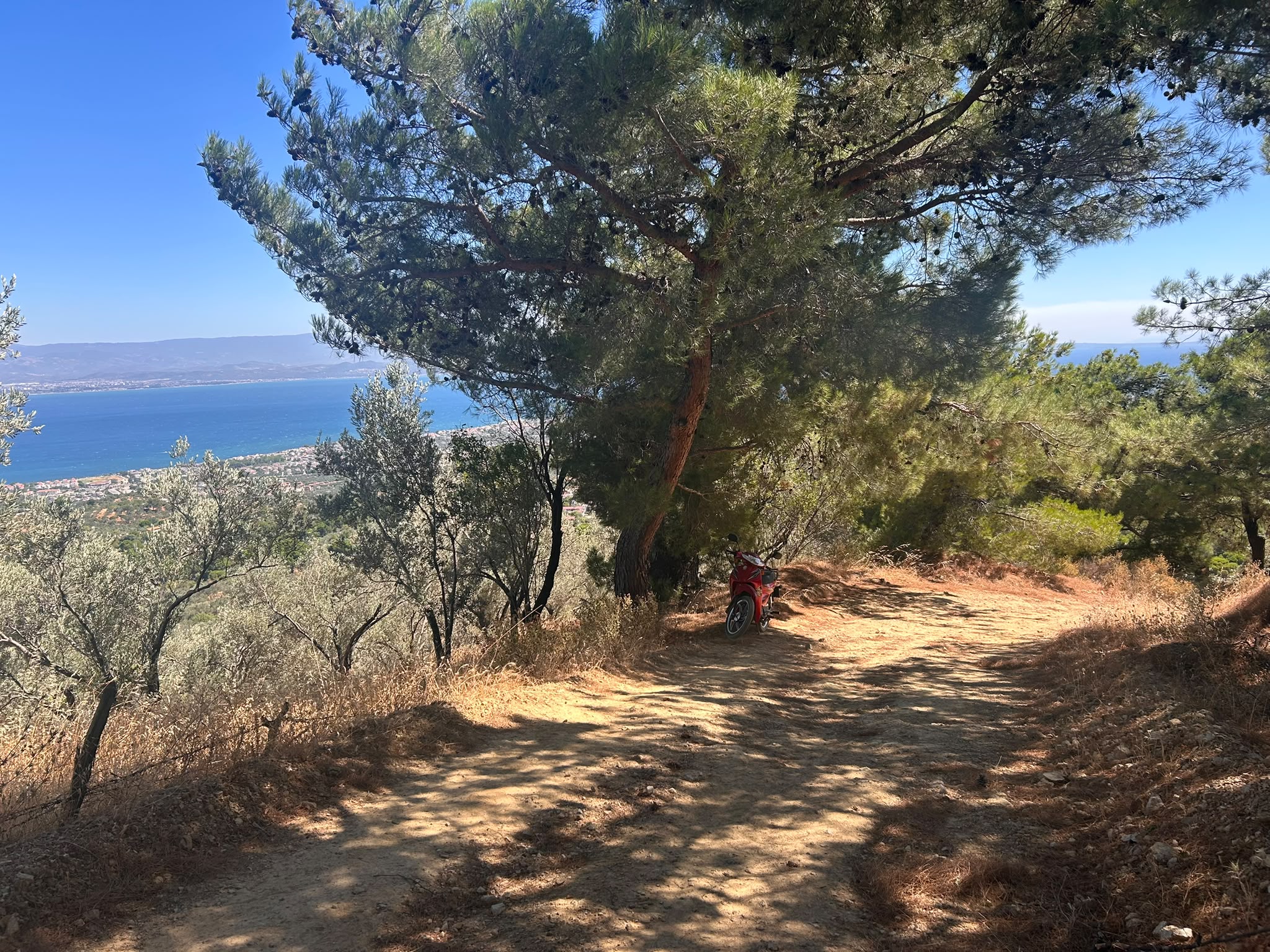 BALIKESİR EDREMİT TAHTAKUŞLAR'DA DENİZ MANZARALI SATILIK ZEYTİNLİK