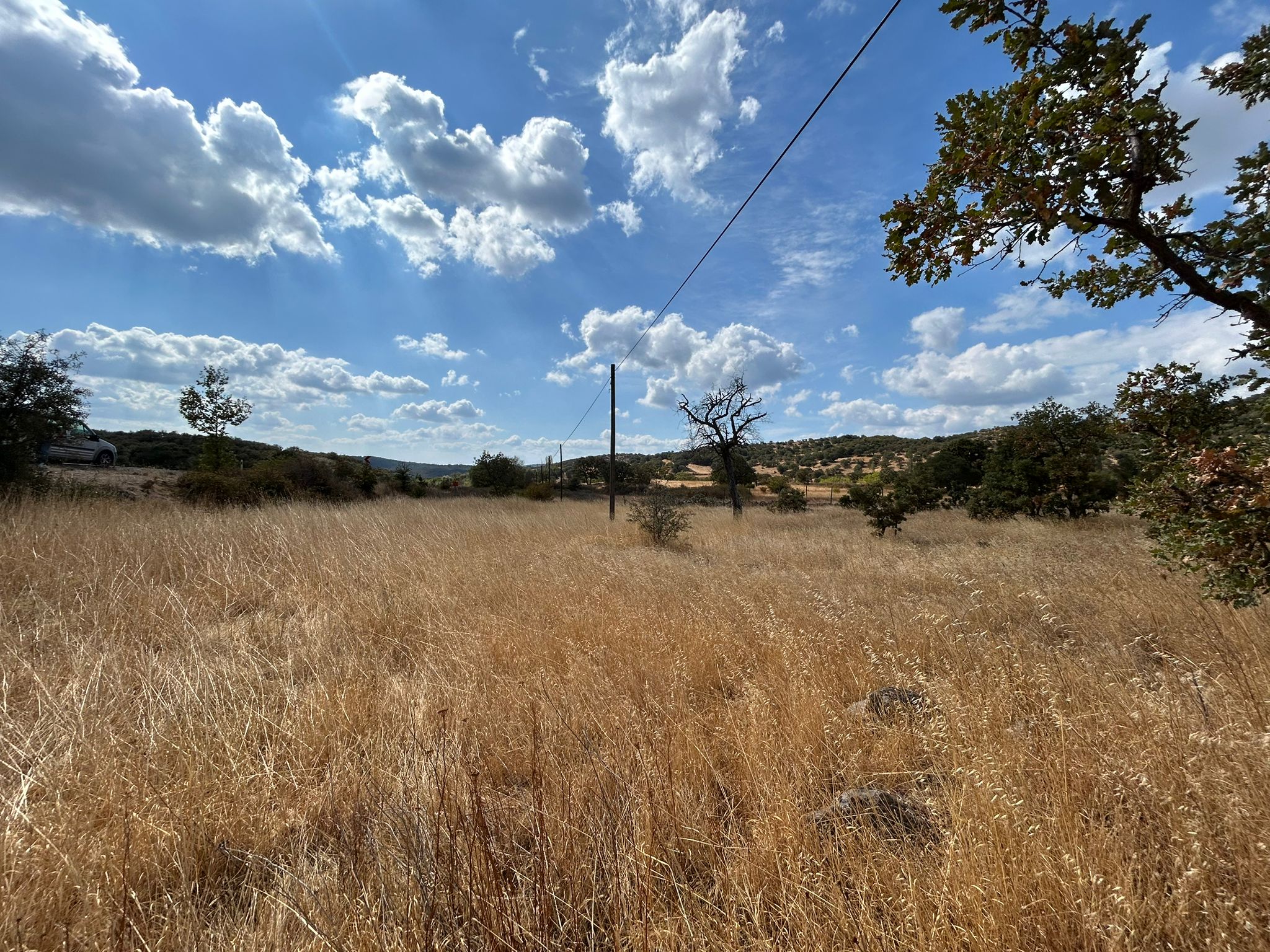Edremit Balıkesir Ana Asfalt Yola 150 M Cephe Satılık 5 Dönüm Tarla