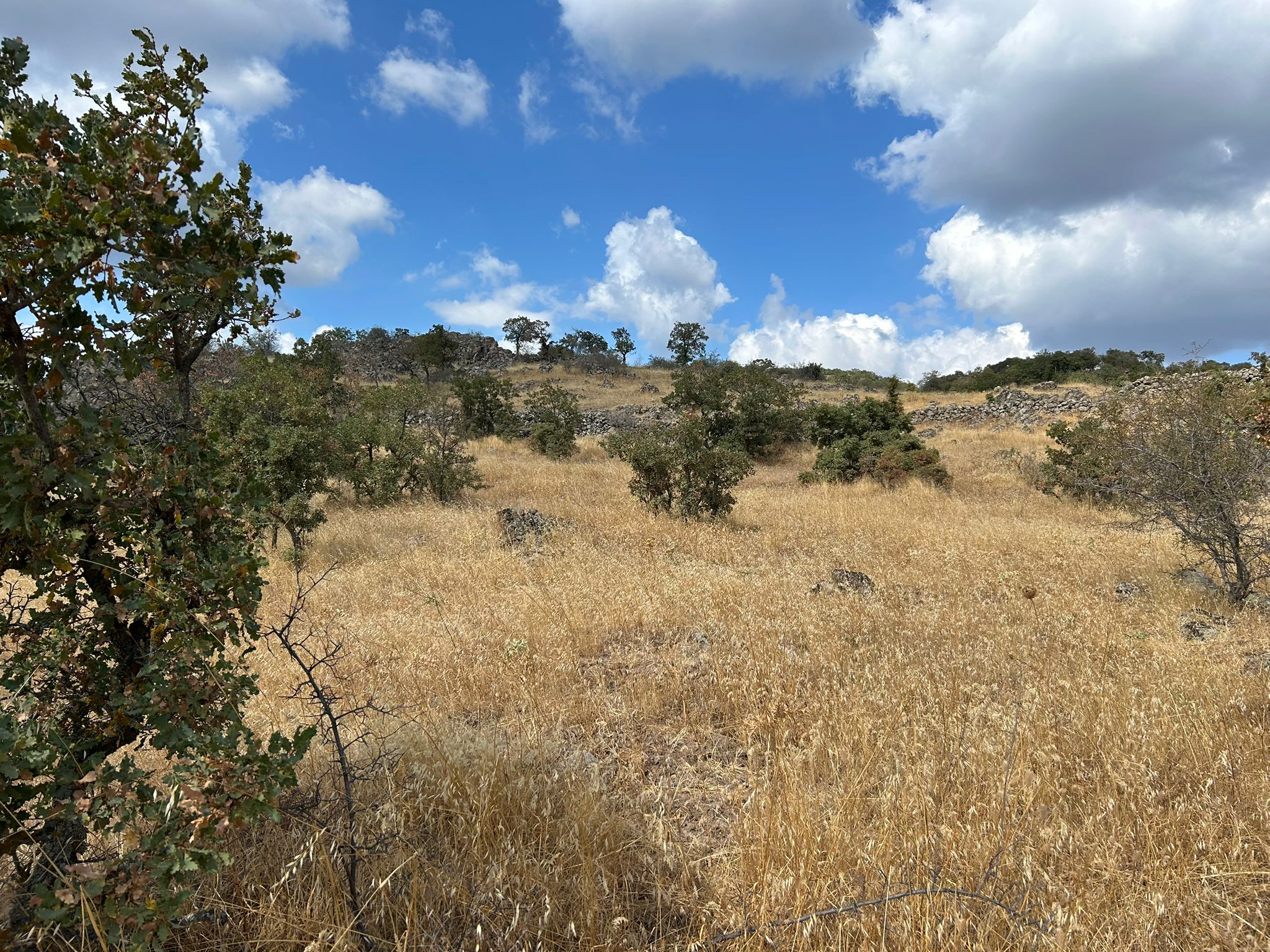 Edremit Balıkesir Ana Asfalt Yola 150 M Cephe Satılık 5 Dönüm Tarla