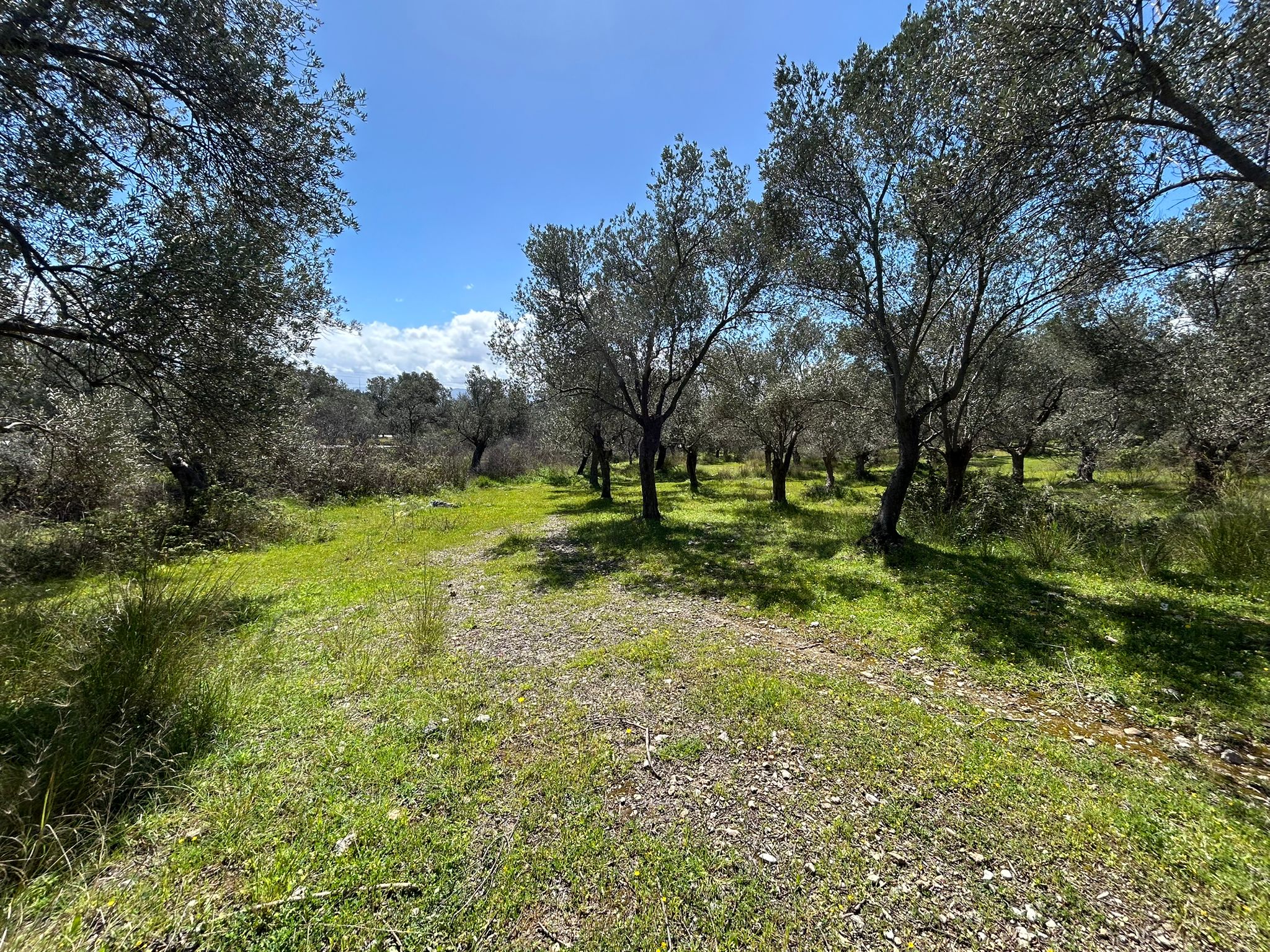 Doğa ile iç içe, yatırım değeri yüksek SATILIK ARSA